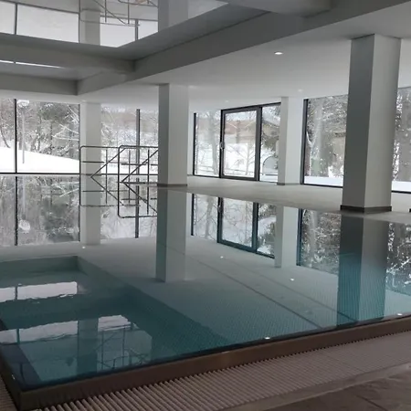 22030 Apartment Schluchsee